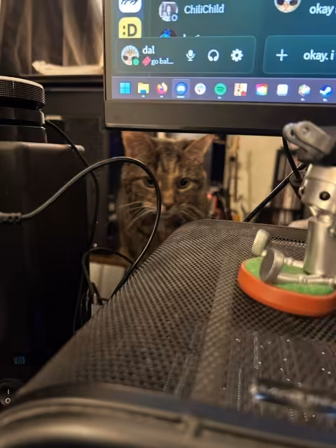 Image of a tabby cat attempting to climb onto a desk, but looking confused.